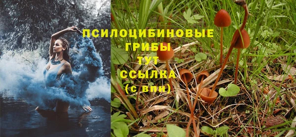 таблы Дмитровск