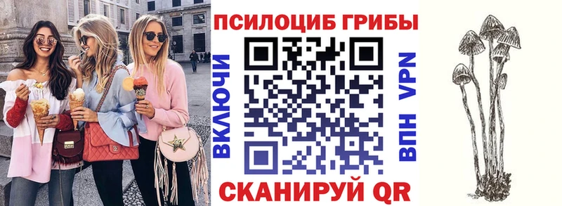 Псилоцибиновые грибы MAGIC MUSHROOMS  цены   Пыть-Ях 